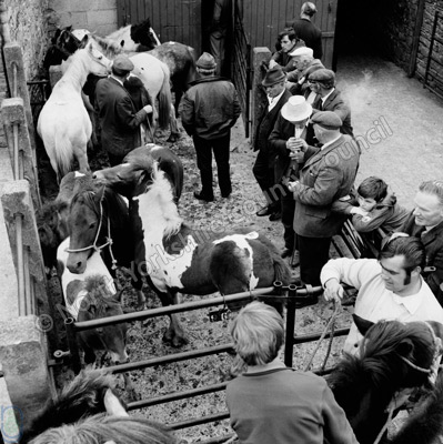 Hawes Horse Fair, 1972